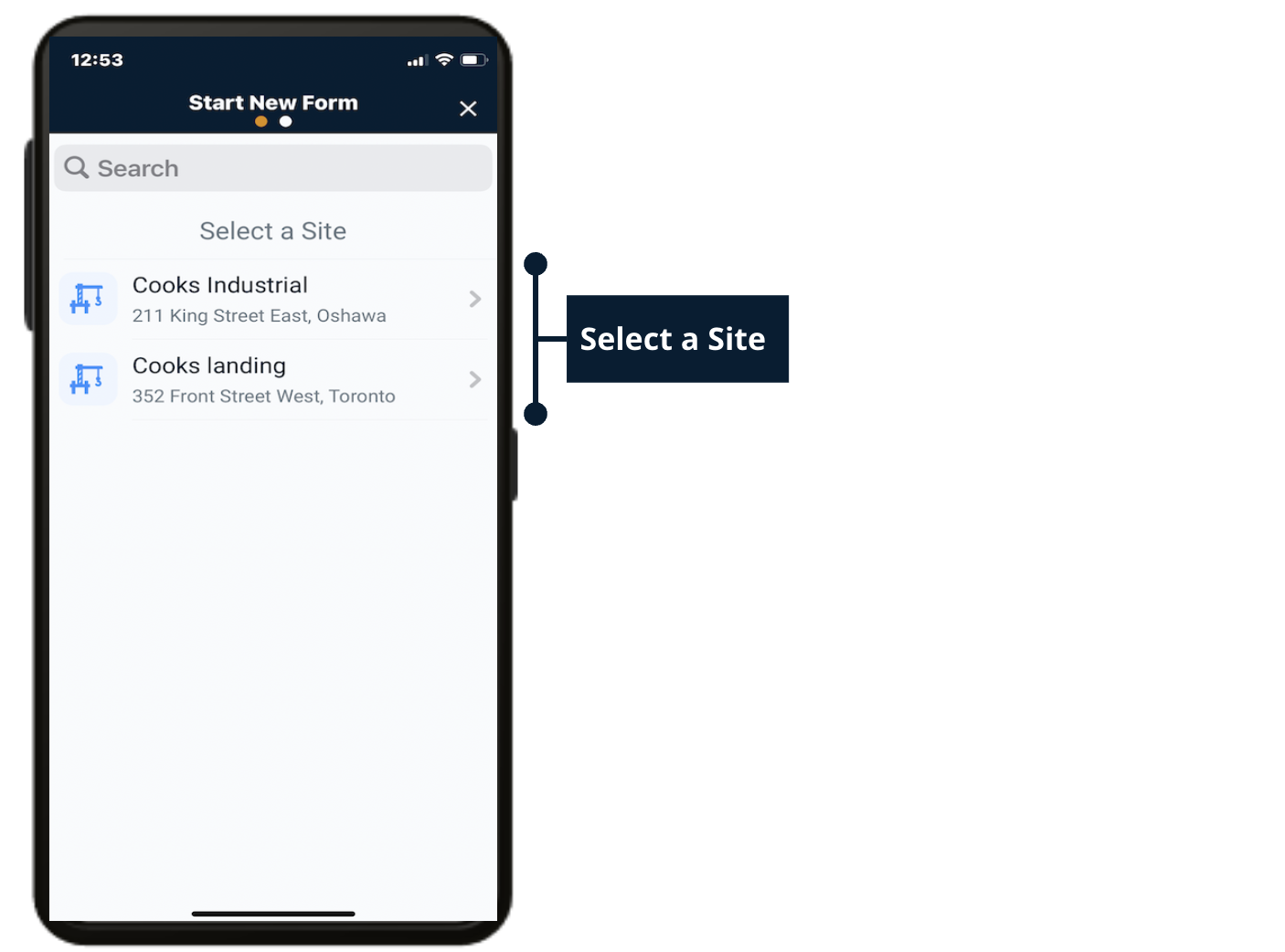 Fill out a form SALUS